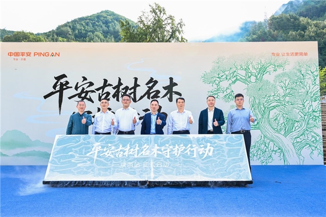 守护绿水青山，赋能绿色发展，平安产险陕西分公司扎实写好绿色金融大文章